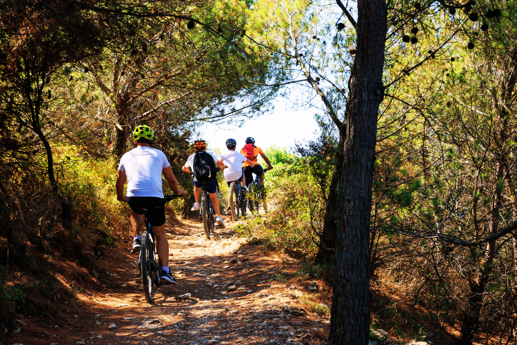 Team Building Mallorca: Exceptional Venues For Corporate Retreats 12 Cycling Tours